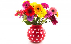 Bouquet of Dahlia flowers in red dotted vase